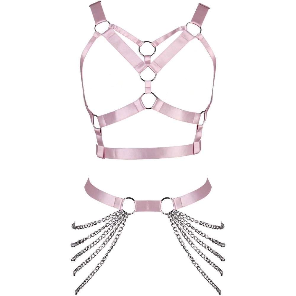 2 piece Pink harness set
